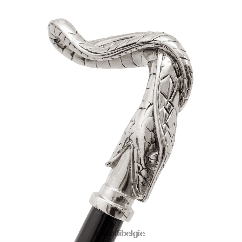 accessoires cs w09 - slangenschoenlepel PASOTTI VFHH4H283