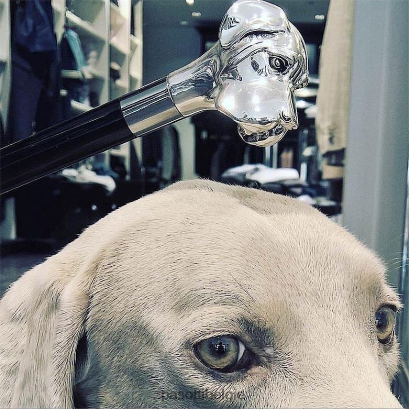 accessoires cs w27 - zilveren labrador schoenlepel PASOTTI VFHH4H261