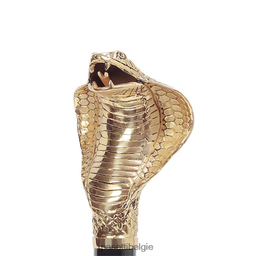 accessoires cs w99or - gouden cobra schoenlepel PASOTTI VFHH4H273