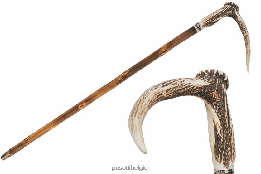 accessoires ba ccl - hertengeweiriet PASOTTI VFHH4H219