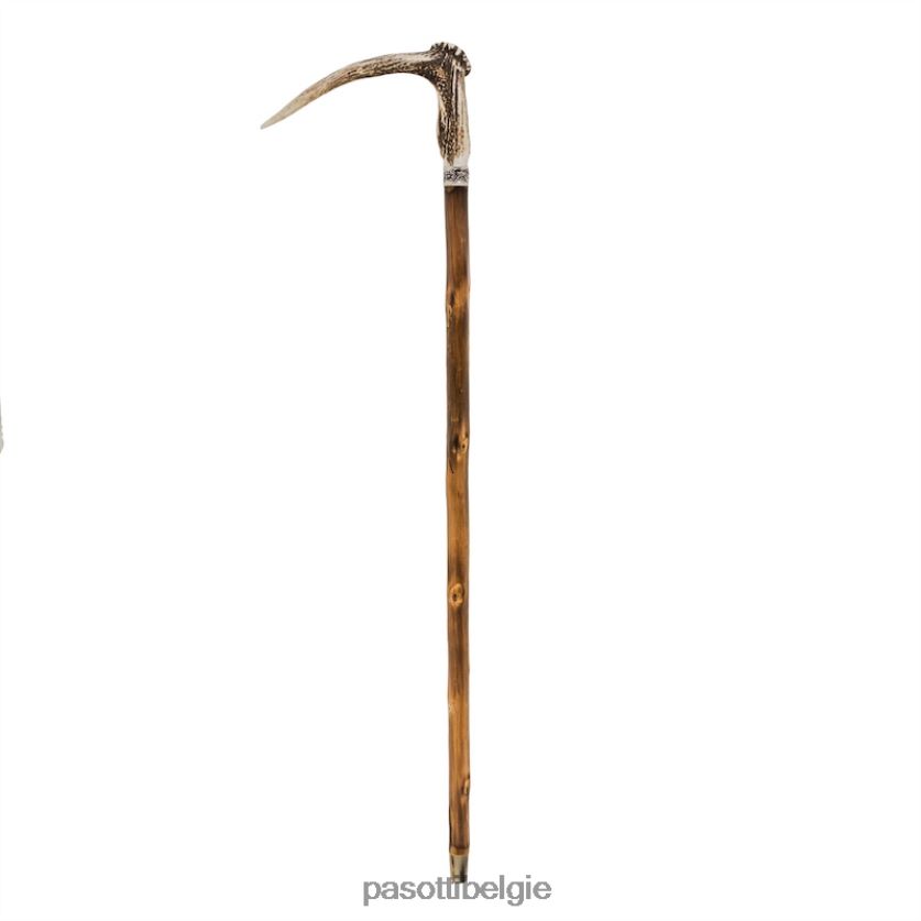 accessoires ba ccl - hertengeweiriet PASOTTI VFHH4H219