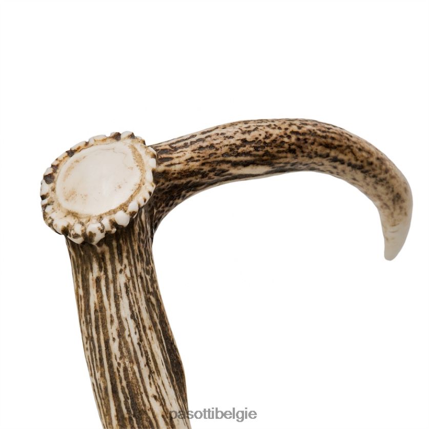 accessoires ba ccl - hertengeweiriet PASOTTI VFHH4H219