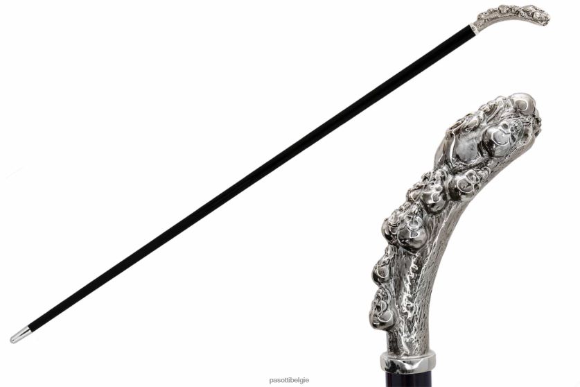 accessoires ba k20 - wandelstok ammasso techi PASOTTI VFHH4H208