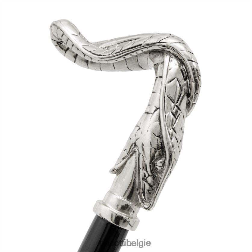 accessoires ba w09 - slangenstok PASOTTI VFHH4H222