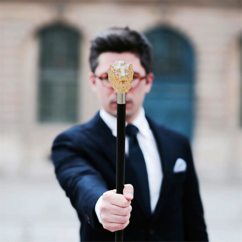 accessoires ba w37or - gouden leeuwenstok PASOTTI VFHH4H221