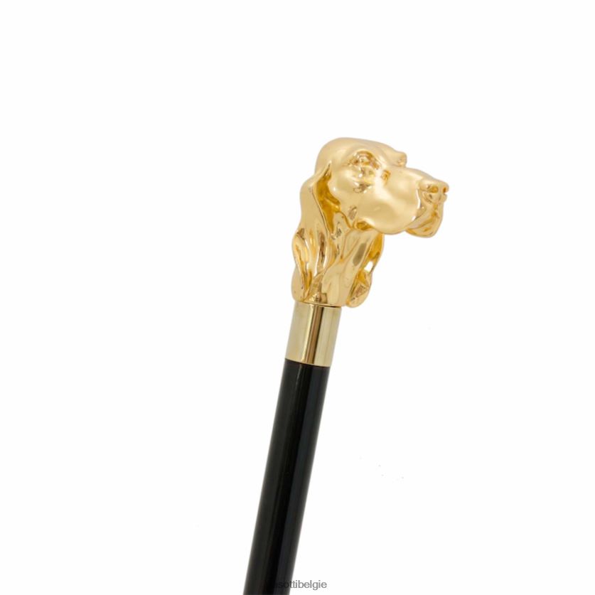 accessoires ba w40or - gouden fidocane PASOTTI VFHH4H255