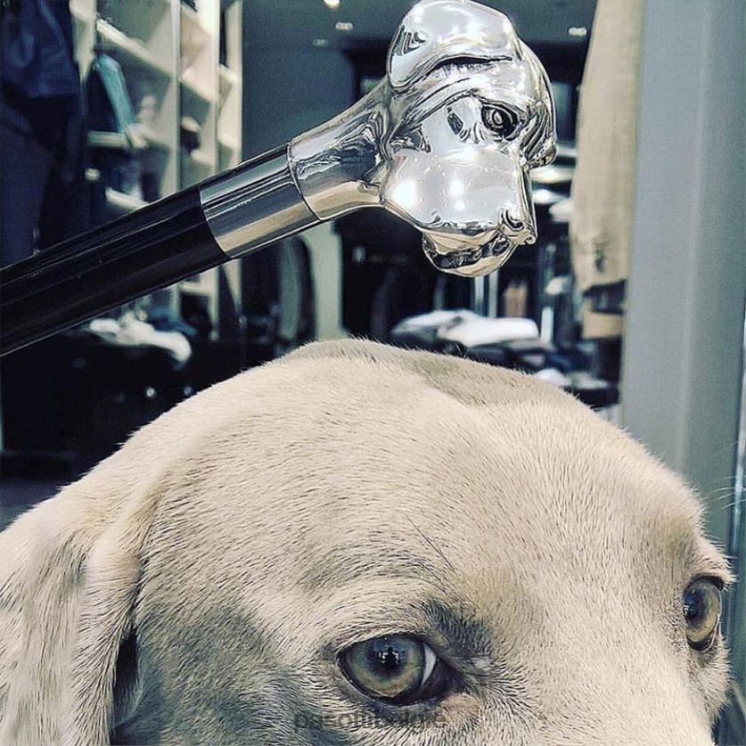 paraplu | 478 5973-2 w27 - labrador paraplu PASOTTI VFHH4H56