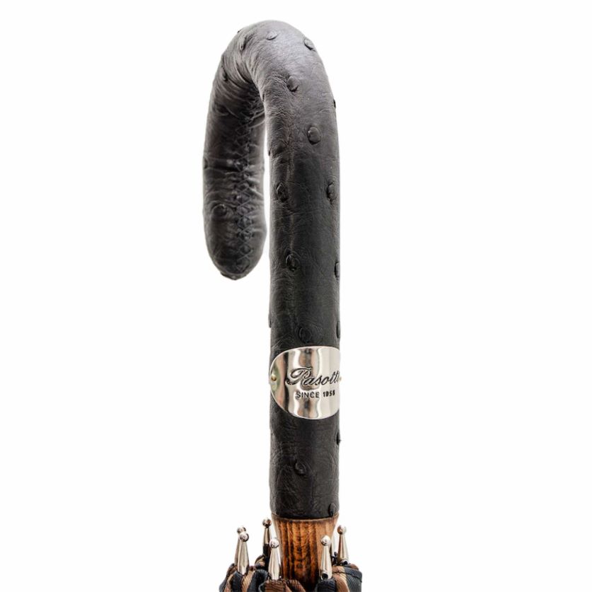 paraplu | 142 conrad-8 s - grote gestreepte paraplu metstruisvogelleren handvat PASOTTI VFHH4H143