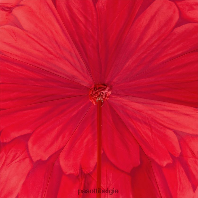 paraplu | 189 21065-21 a - rode dahliaparaplu, dubbeldoek PASOTTI VFHH4H331