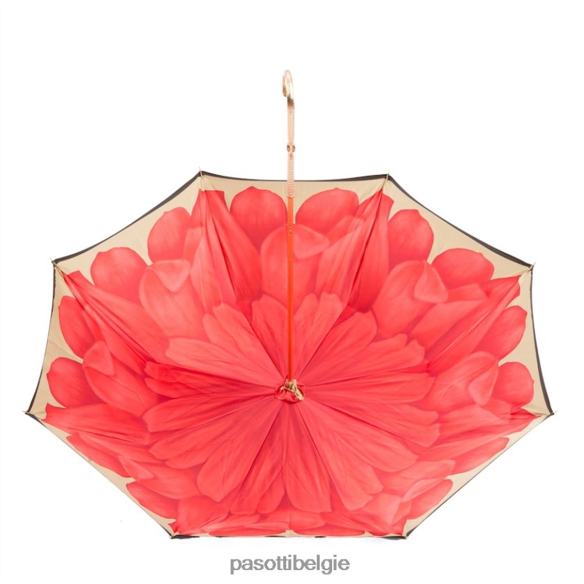 paraplu | 189 21065-21 p5 - paraplu met bloem erin PASOTTI VFHH4H385