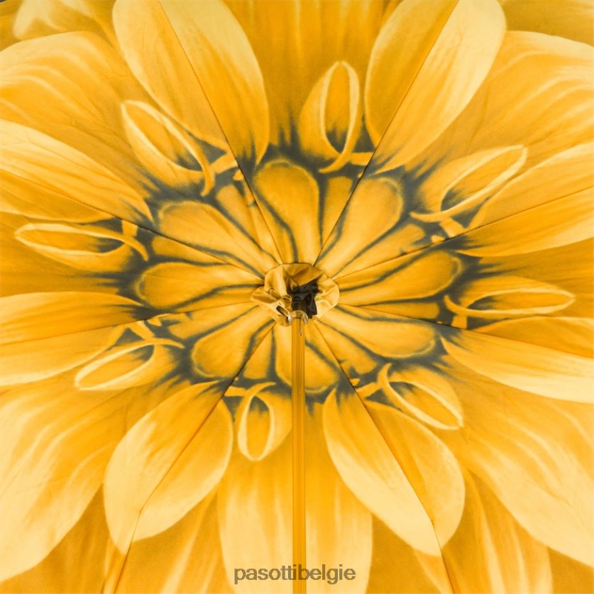 paraplu | 189 21273-6 s8ab - luxe gouden dahliaparaplu, dubbeldoek PASOTTI VFHH4H387