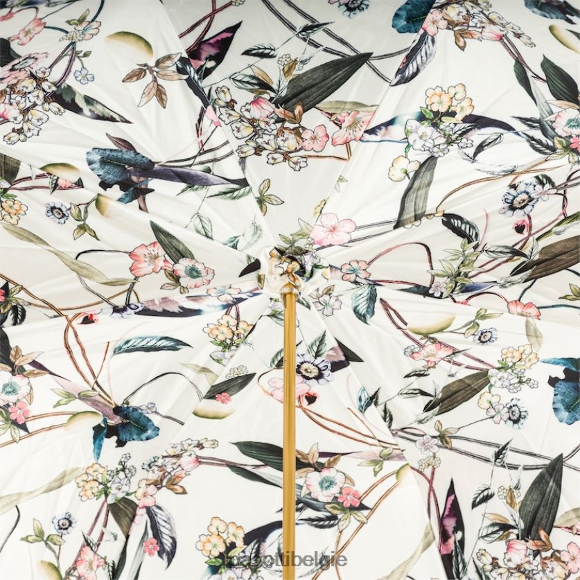 paraplu | 189 5k341-5 c22 - olijfgroene paraplu PASOTTI VFHH4H341