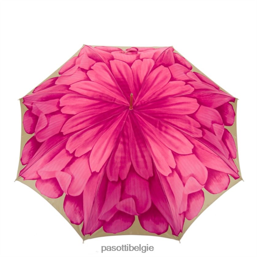 paraplu | 460 21065-30 p5 - fuchsia dahlia paraplu PASOTTI VFHH4H344