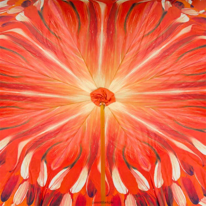 paraplu | 189 30093-4 k3-toekanumbrella PASOTTI VFHH4H509